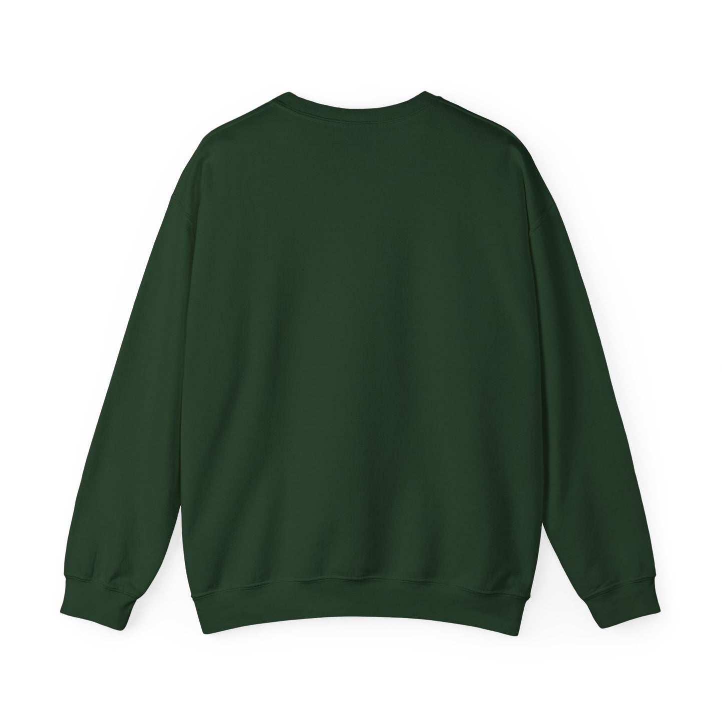'KOMPAS PAPA' Trui / sweatshirt - vaderdag trui