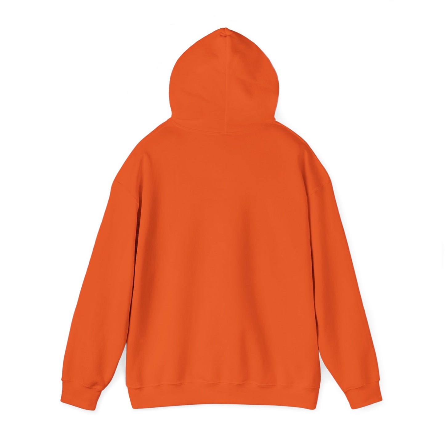 Frisse jongen hoodie