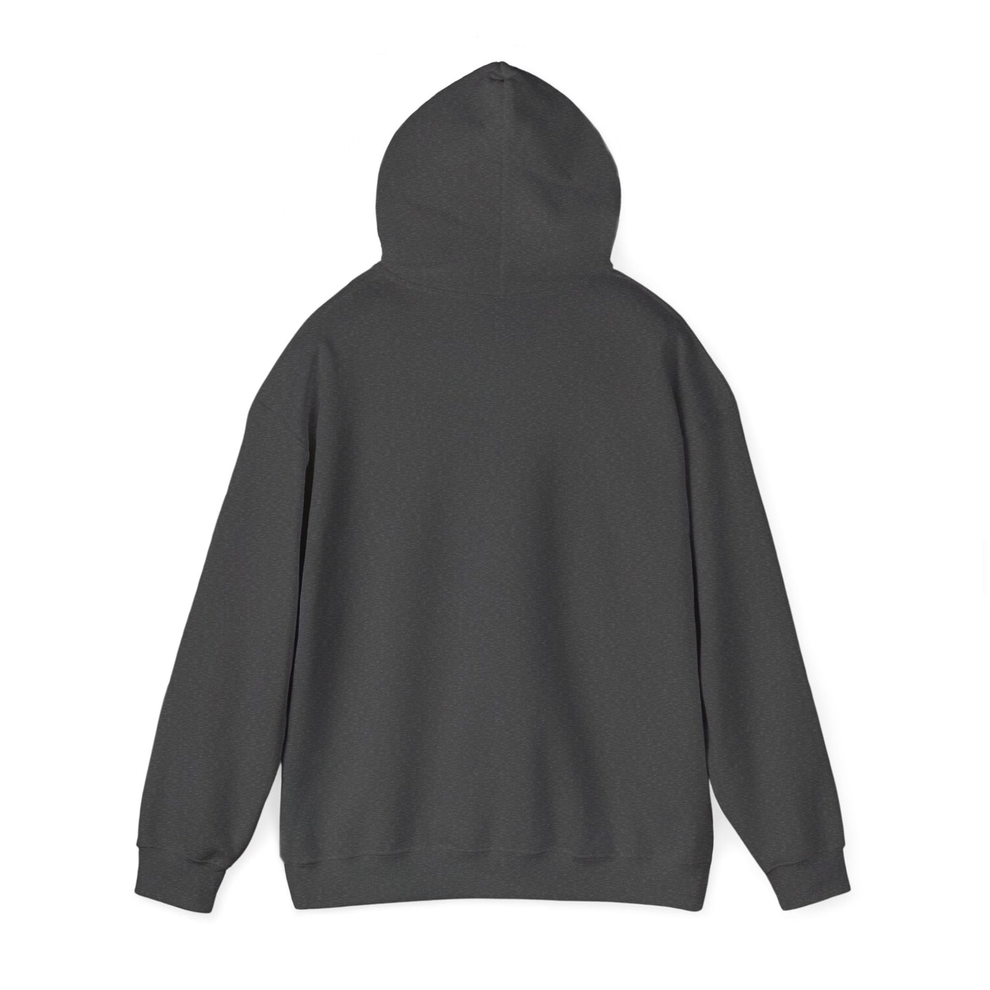 Frisse jongen hoodie