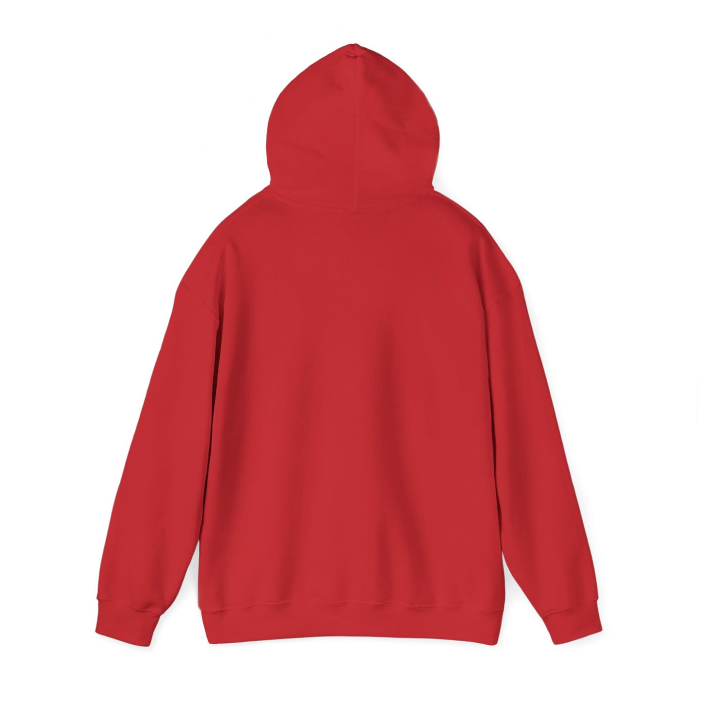 Frisse jongen hoodie