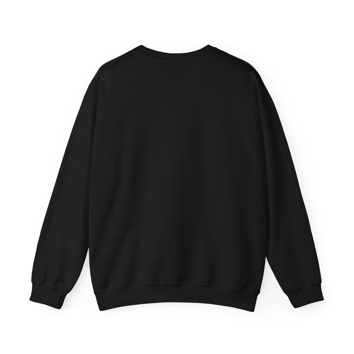 'KOMPAS PAPA' Trui / sweatshirt - vaderdag trui
